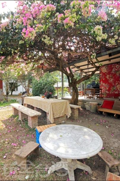 Dongguang Zhixing Homestay Yuchi Eksteriør billede
